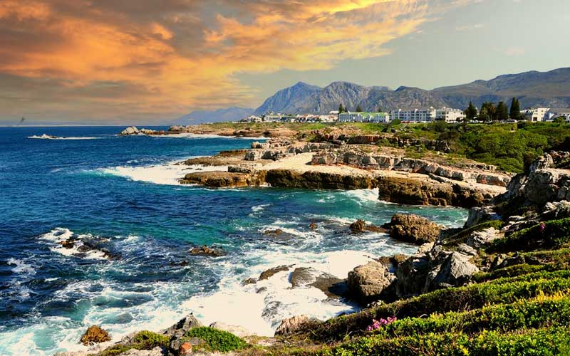 viaggio-sudafrica-capetown-hermanus