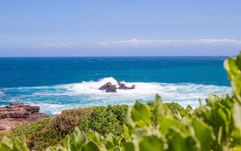 hermanus-sudafrica-viaggio-prezzo-agenzia-tour-operator