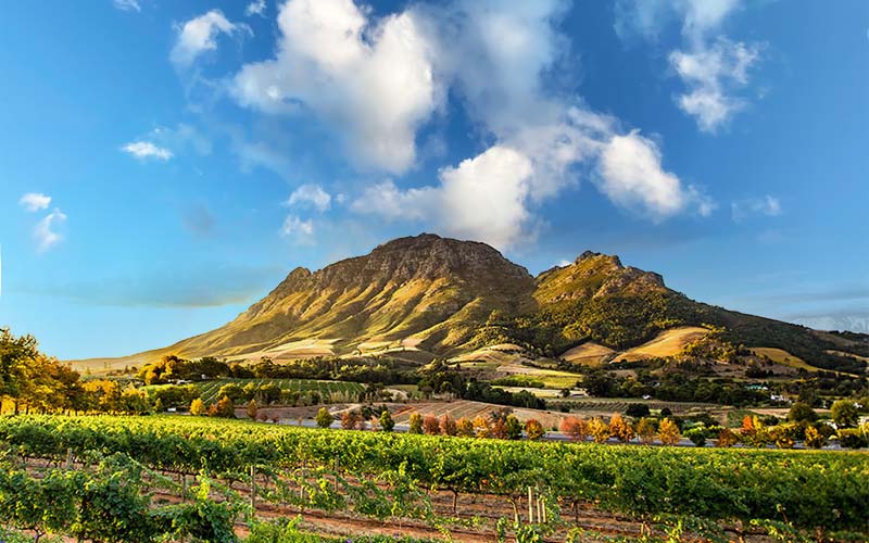 stellenbosch-viaggio-agenzia-sudafrica-tour-operator