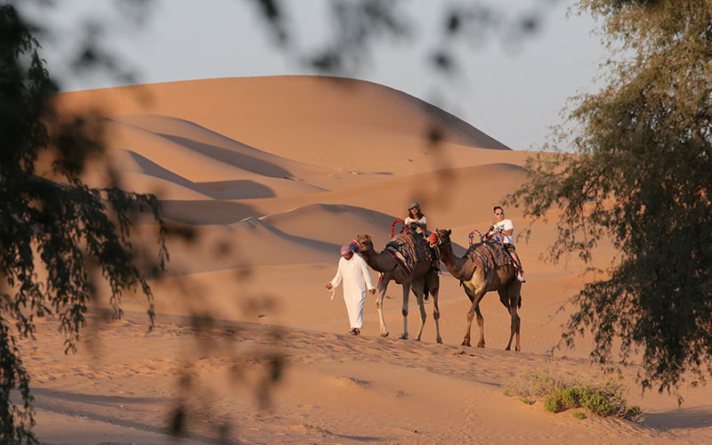 viaggio-al-ain-emirati-arabi