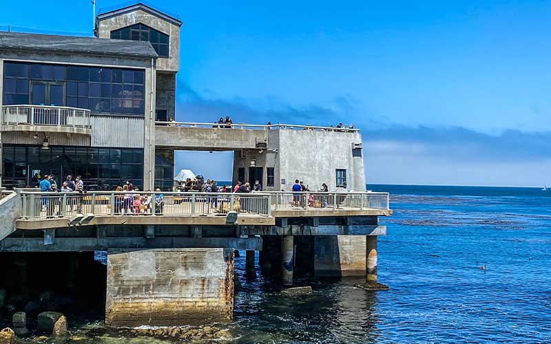 viaggio-baia-di-monterey-usa