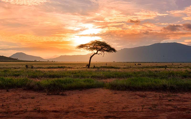 viaggio-sudafrica-agenzia-tour-operator-migliore-prezzo