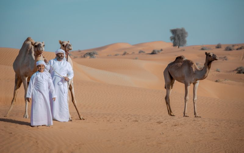viaggio-emirati-arabi-dubai-cammello-ras-al-khaimah