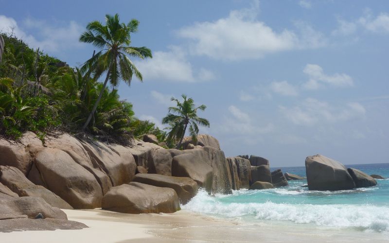 viaggio-seychelles-spiaggia-palme-agenzie