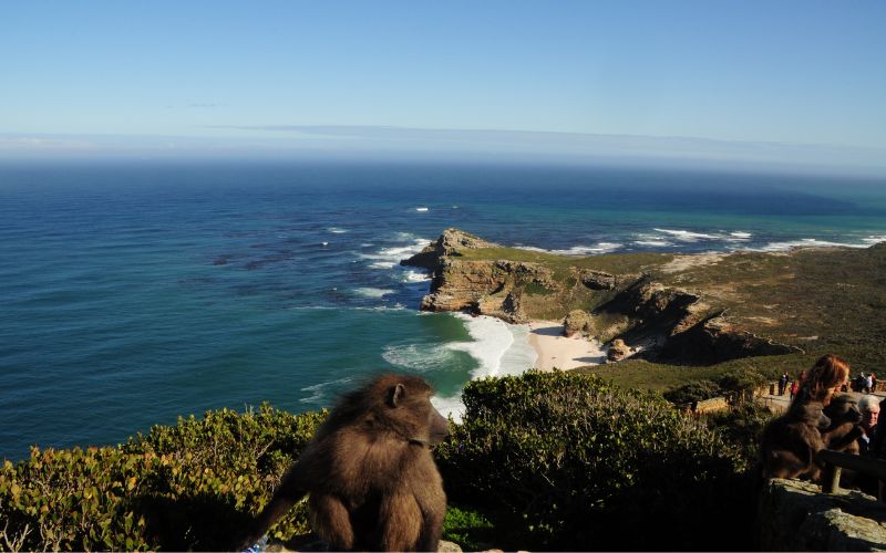 viaggio-sudafrica-esperienze-imperdibili-da-fare-tour-cape-town