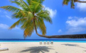 Viaggio-Maldive-Fihalhohi-Island-Resort-spiaggia-palma-prezzo