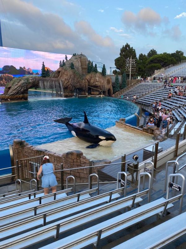 viaggio-stati-uniti-san-diego-seaworld-agenzia