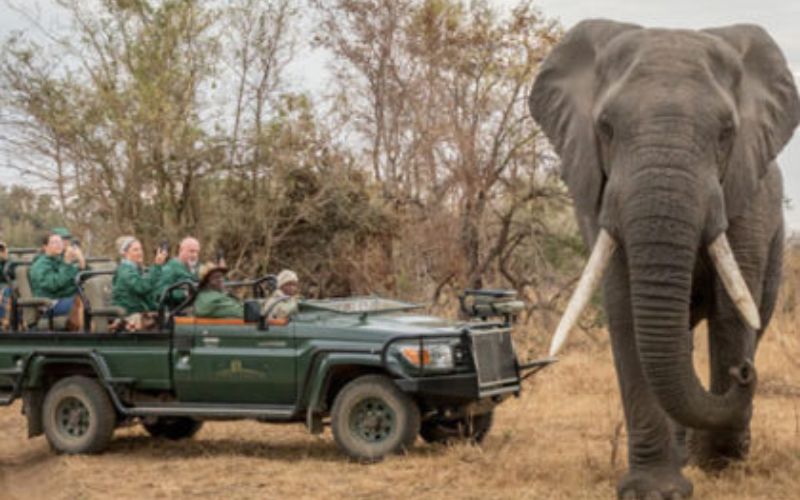 viaggio-sudafrica-per-mano-al-Kruger-Park-jeep-agenzia-prezzo