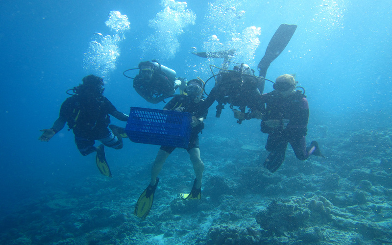 The Barefoot eco hotel Maldive agenzia viaggi diving immersioni The Barefoot eco hotel Maldive agenzia viaggi diving immersioni