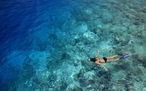 The Barefoot eco hotel Maldive agenzia viaggi mare nuoto snorkeling