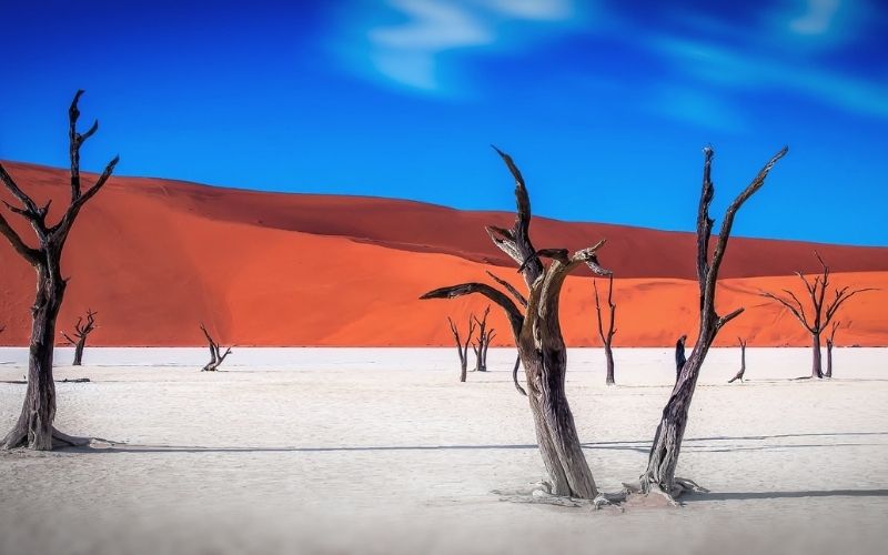 viaggio-di-gruppo-in-namibia-agenzia-viaggi-trieste