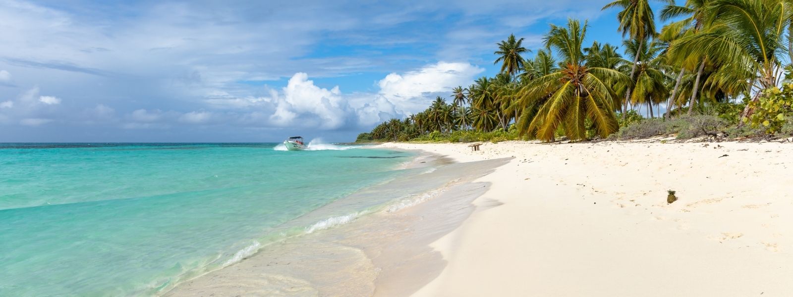 offerta-crociera-msc-caraibi-antille offerta-crociera-msc-caraibi-antille